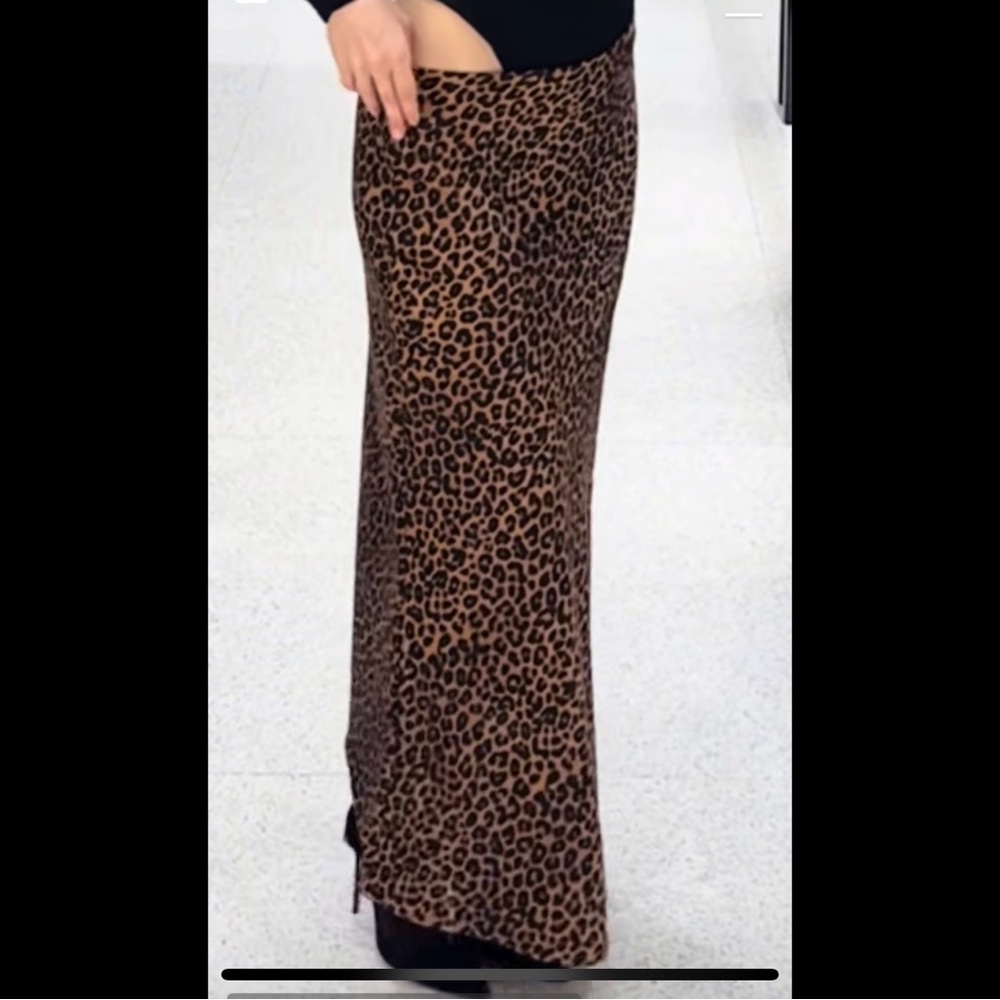 Zara Brown Leopard Maxi Skirt